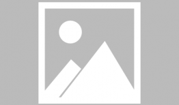 沼泽 漫画,一场奇幻冒险的漫画之旅