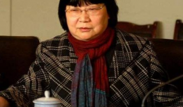 顾美玲麻豆,时尚界的璀璨新星